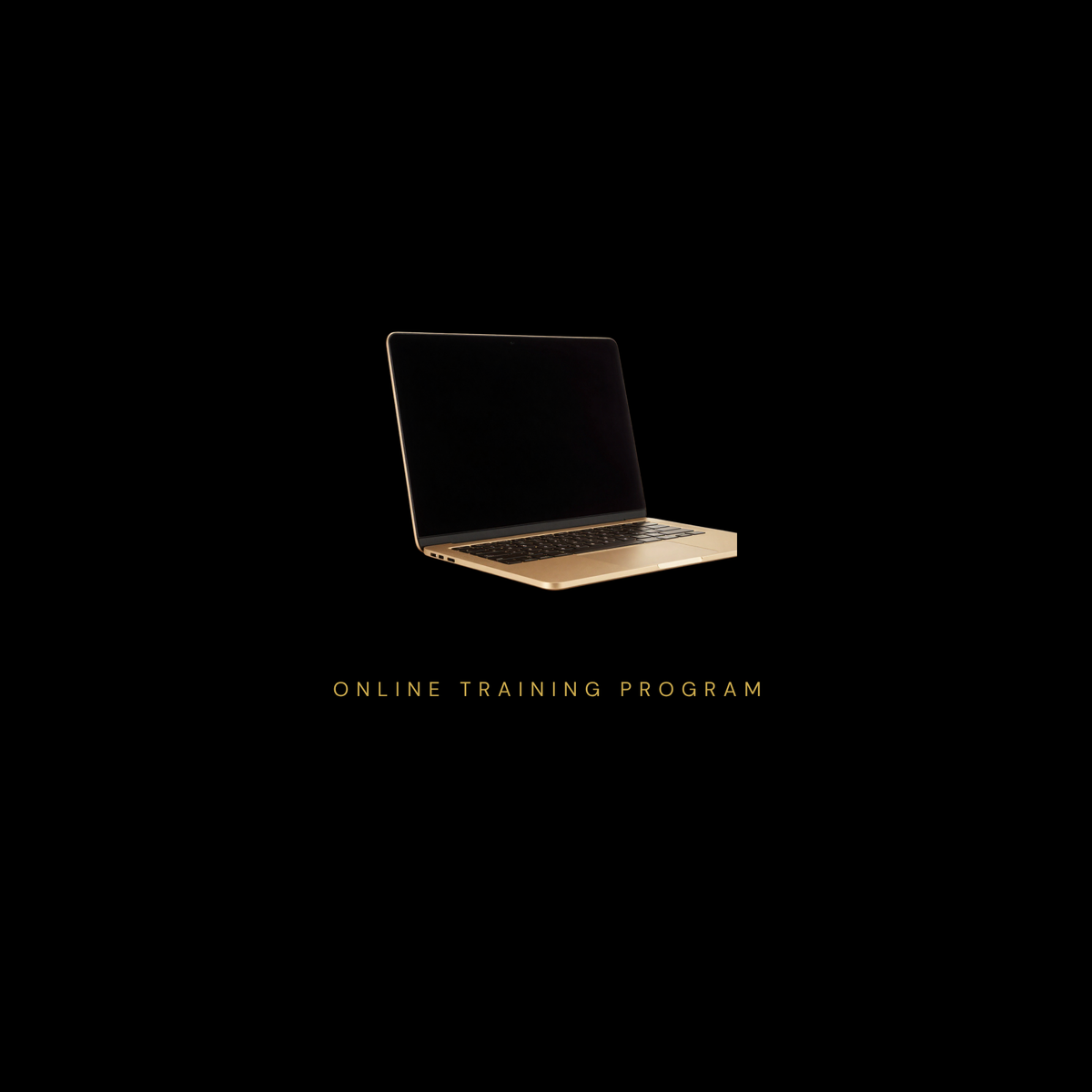 Online Training Program